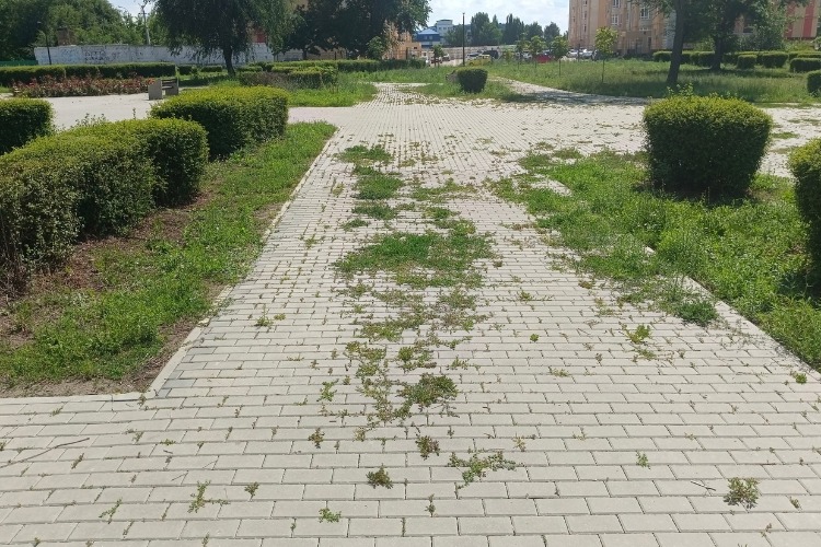 Сквер 8А микрорайона приходит в упадок. А ему нет даже 2 лет...