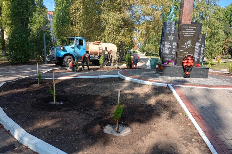 В Балаково высадили подаренные бойцами 99-го полка туи