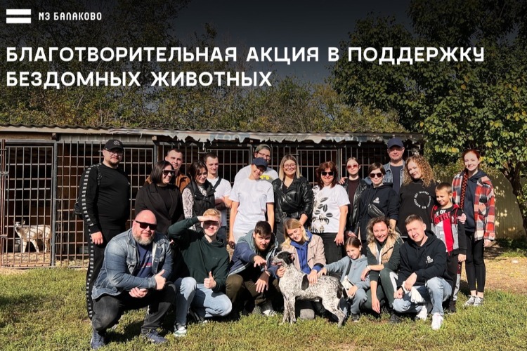 Кот и пес балаково. Новости балаково помощь животным. Кот в колючей проволоке. Новости балаково помощь животным. Новости балаково помощь животным.