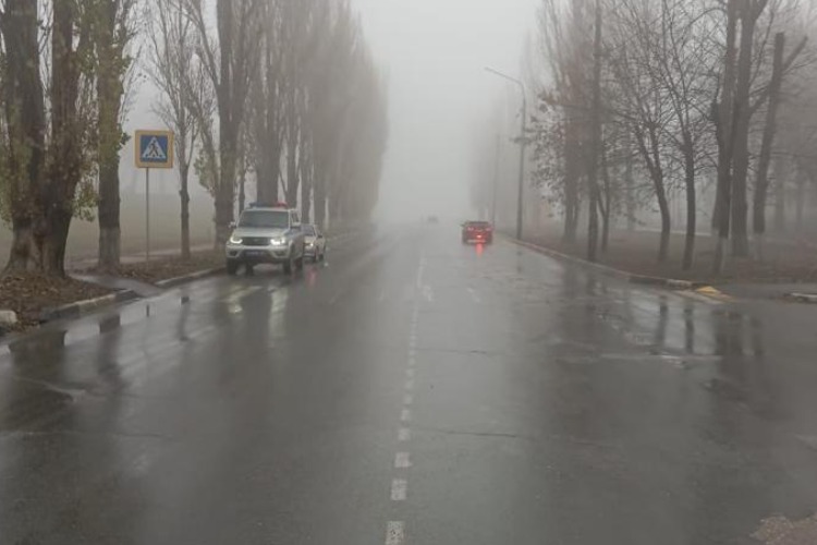 Юный водитель сбил пенсионерку на пешеходном переходе