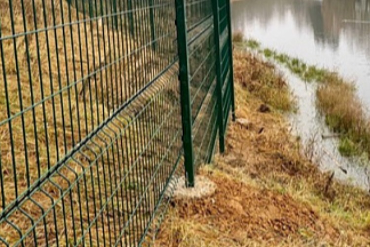 Росприроднадзор заметил близко установленный к воде забор на балаковских дачах