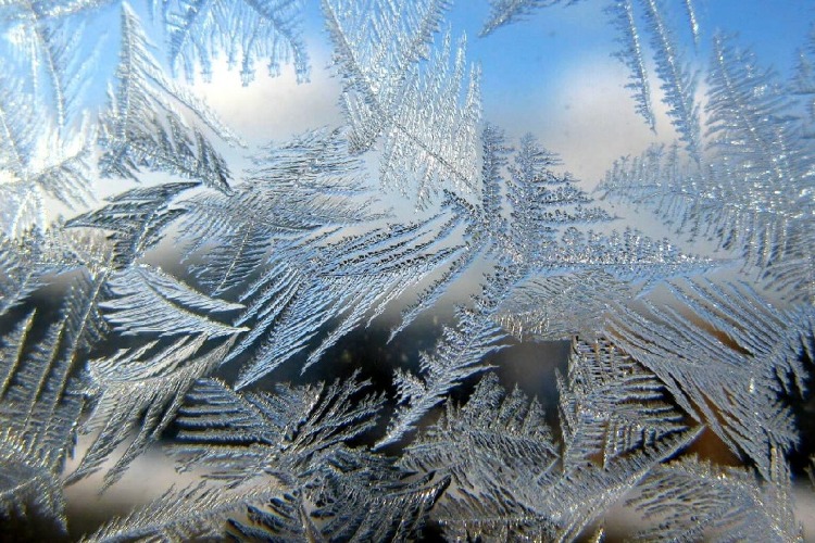 Погода в Балаково 11 декабря. Потрудись, кузнец-мороз, скуй ты нам сегодня ожерелье для берез к ночи новогодней! 