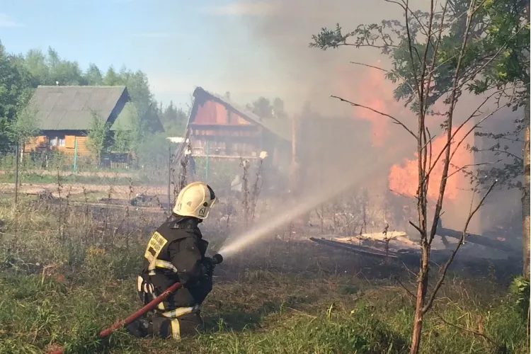 11 пожарных спасли дачницу из горевшего домика 