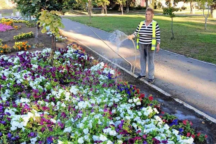 Перед днем города Мойдодыры прибираются за нами