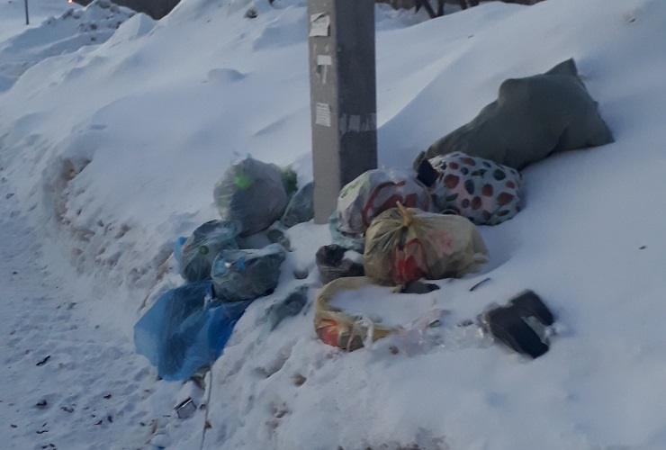 Рабочая схема сломалась. Балаковцы засоряют больничные пруды