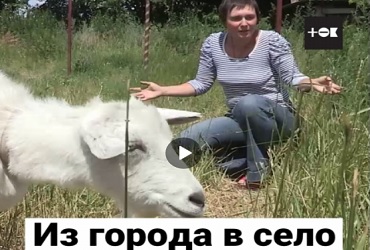 Из города в село. Видео