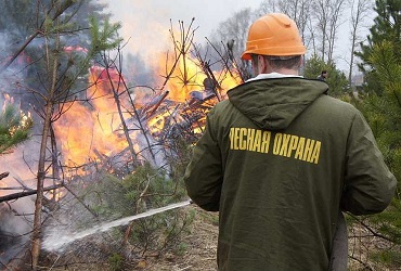 Не нарвись в лесу на неприятности. По области введен особый противопожарный режим