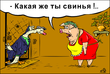 Гусь свинье и в маршрутке не товарищ