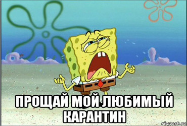 Школы Балакова карантин минует снова