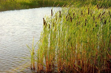 С начала лета в водоемах утонули 7 человек