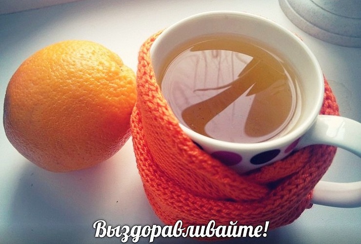Каникулы можно гулять смело. Болезни отступают