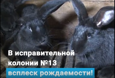 История сегодняшнего утра. Видео