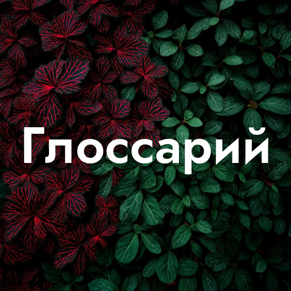 Глоссарий
