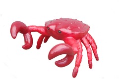 Морской Краб