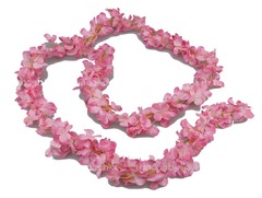 Лиана розовая