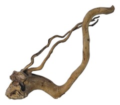 Коряга 3