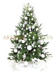 Ель белая красавица 210 см.