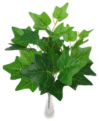 Плющ куст 35 см
