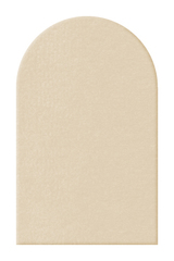 Задник "Блас 150"