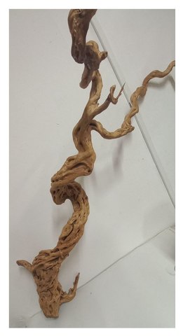 Коряга Большая