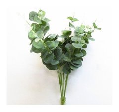 Эвкалипт куст 40 см