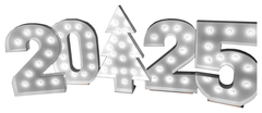 Цифра 2025 серебро