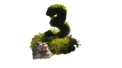 Нумерация на 5 столов "Мох"