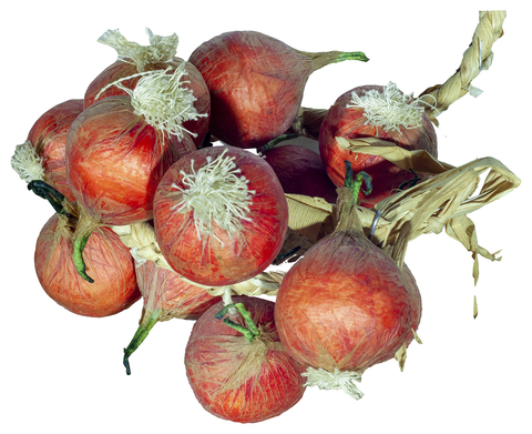 Муляж Лук Косичкой