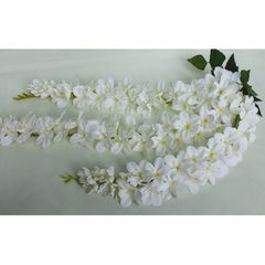 Глициния бело-зеленая
