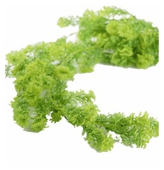 Зелень ампельная кустовая «Нори»