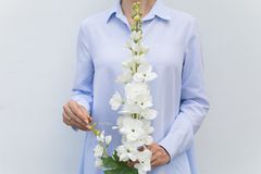 Дельфиниум силиконовый белый с двумя ветками