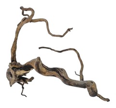 Коряга 6