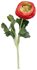 Ранункулюс Розовый 55 см