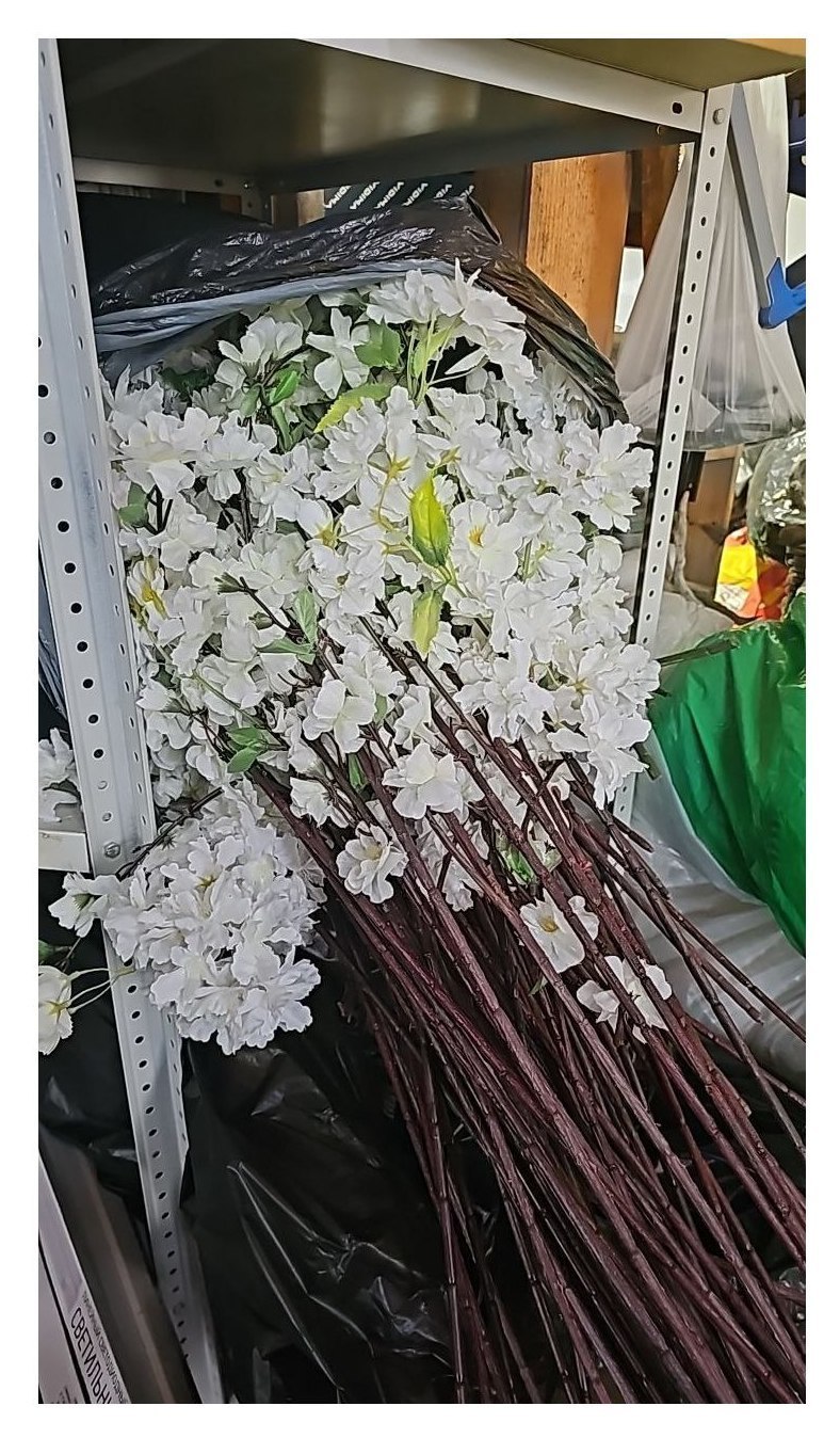 Ветки сакуры белые мешок
