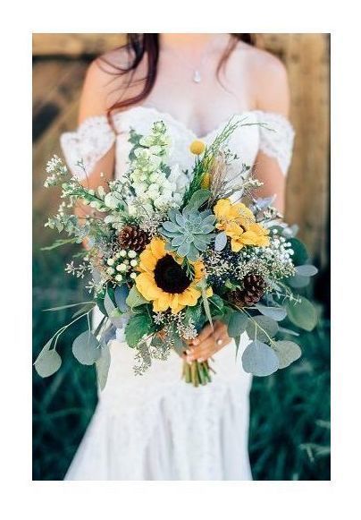 Подсолнух/  Гелиантус санрич прованс, шт
