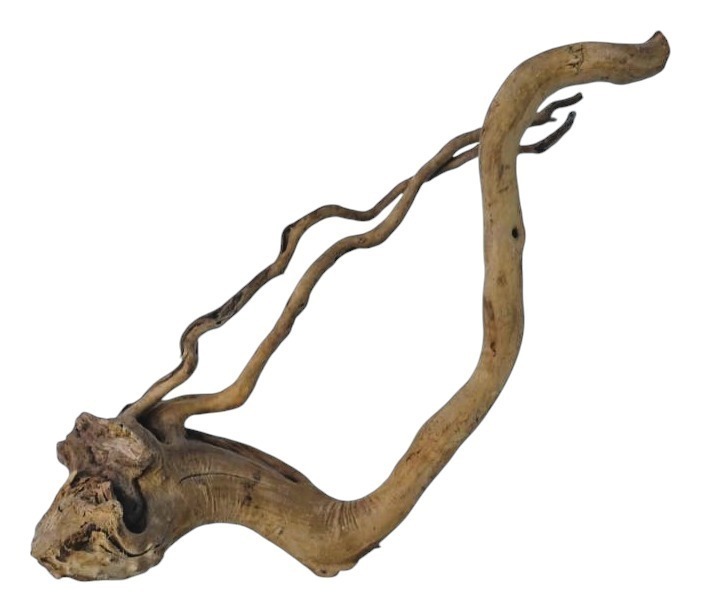 Коряга 3