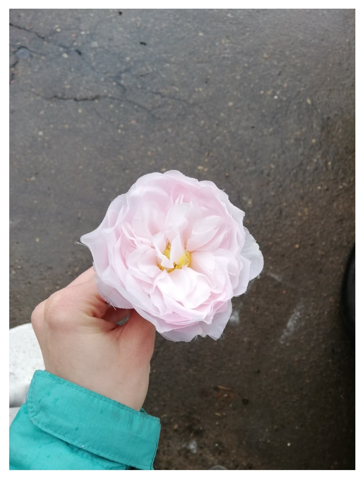 Роза пионовидная розовая 2