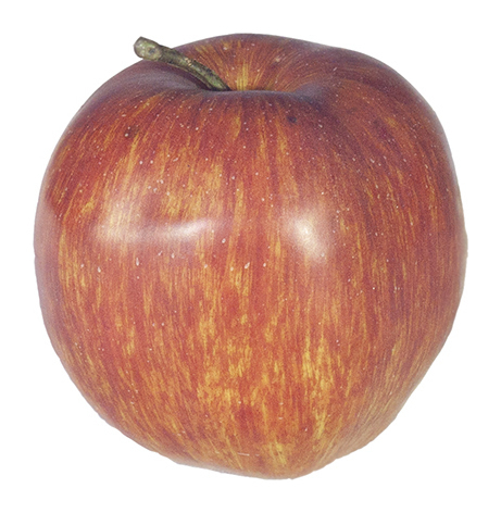 Муляж Яблоко 44