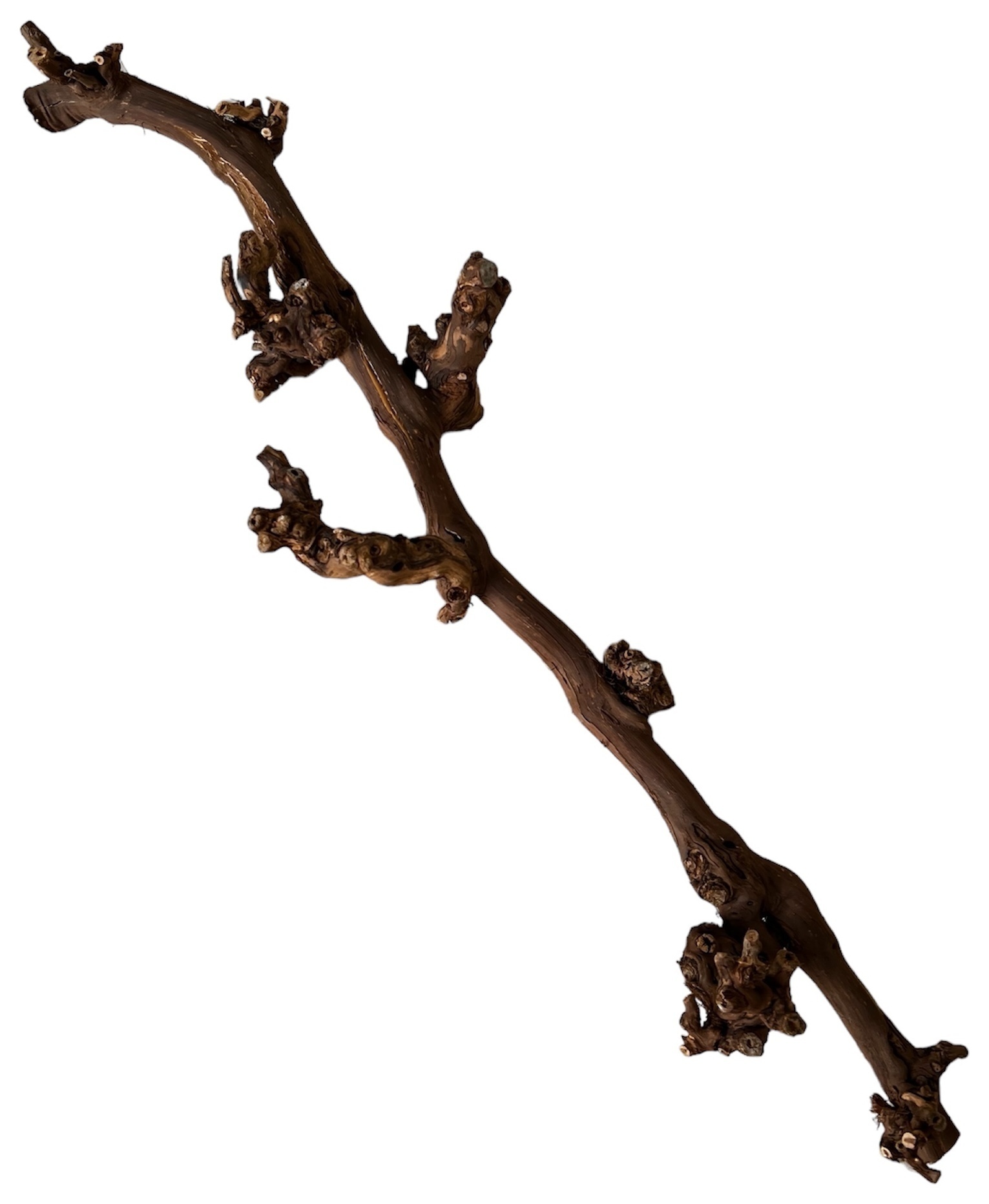 Коряга "Виноградная лоза"