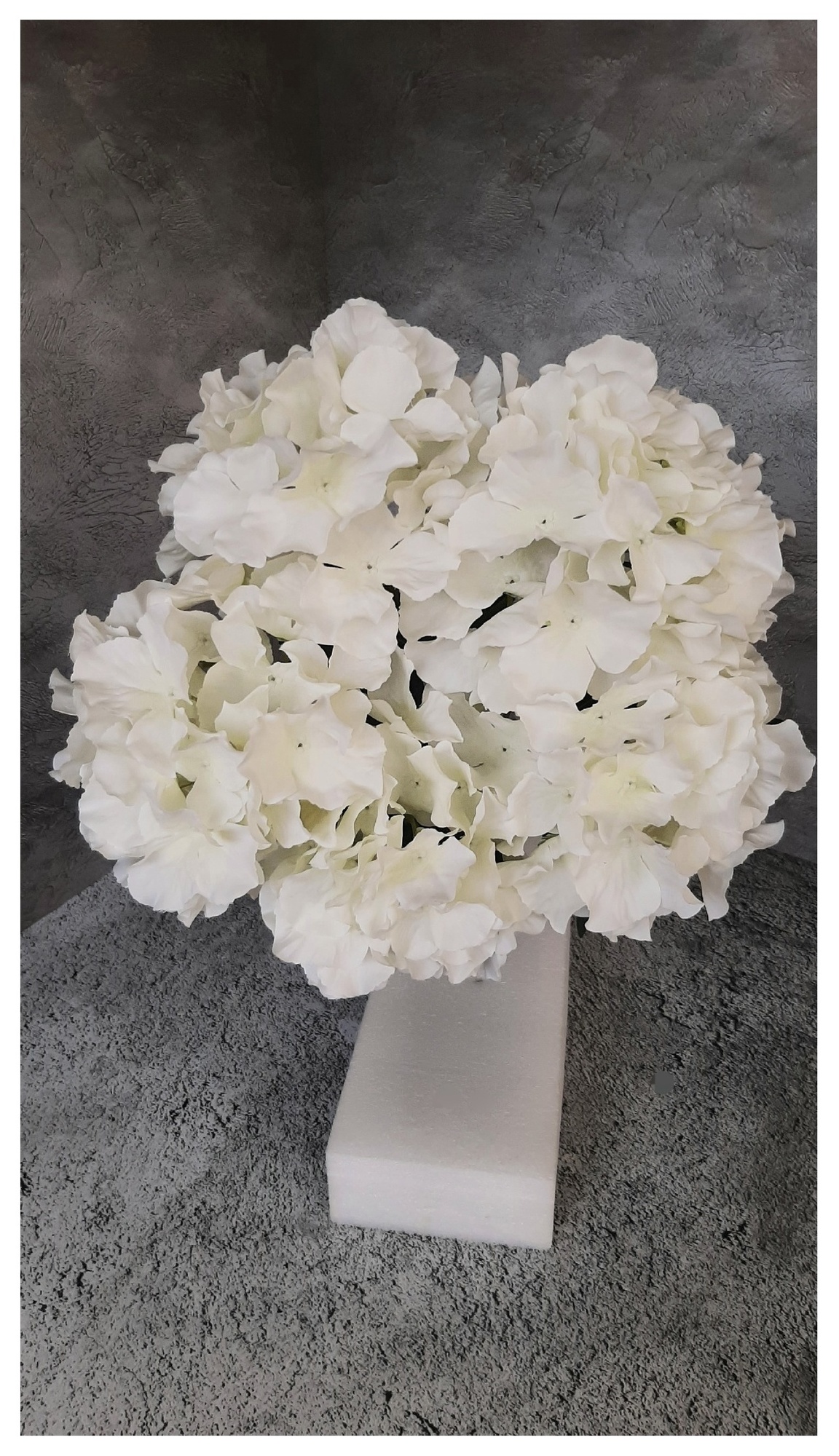 Гортензия "WHITE x 5"
