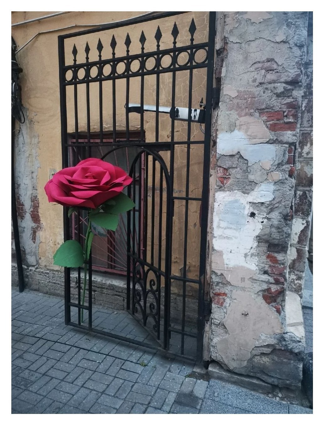 Роза из фоамирана красная XL 70*35