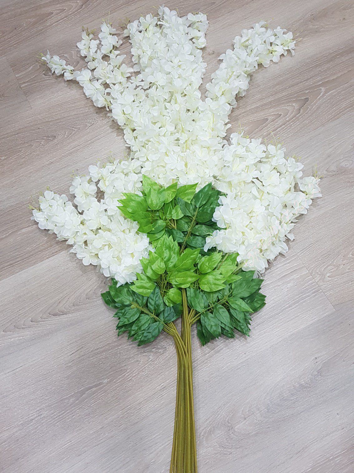 Глициния пышная белая