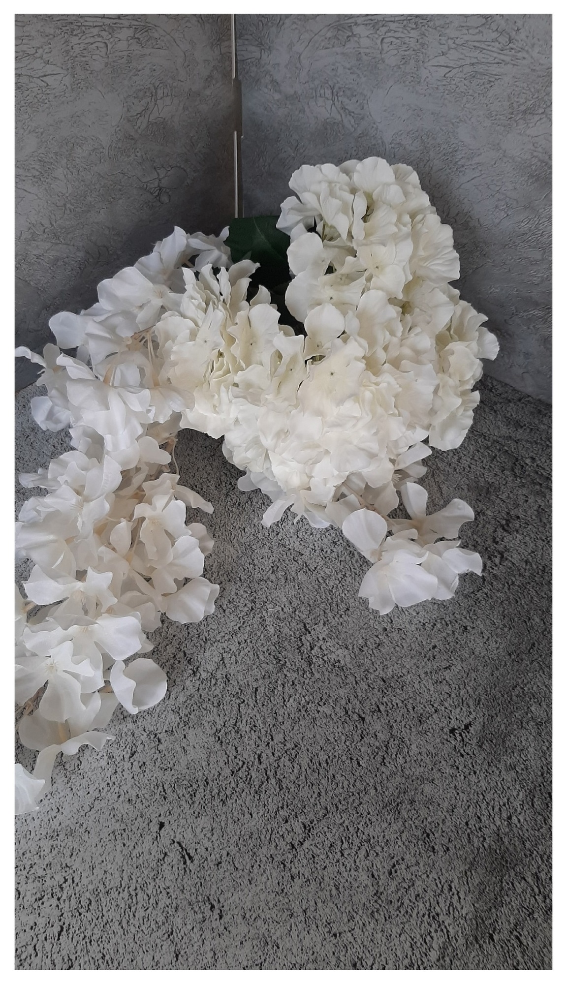 Гортензия "WHITE x 5"