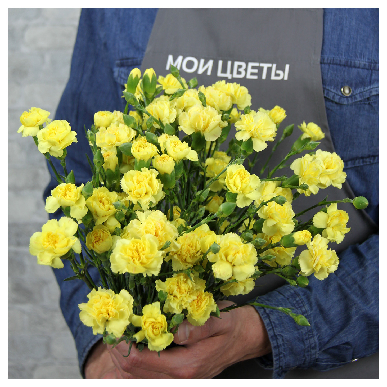 Гвоздика куст Желтая, шт