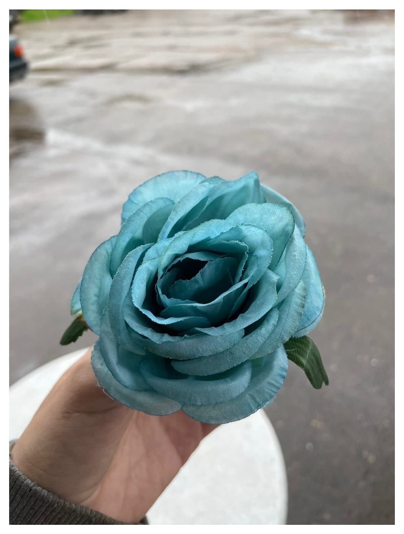 Роза бирюза