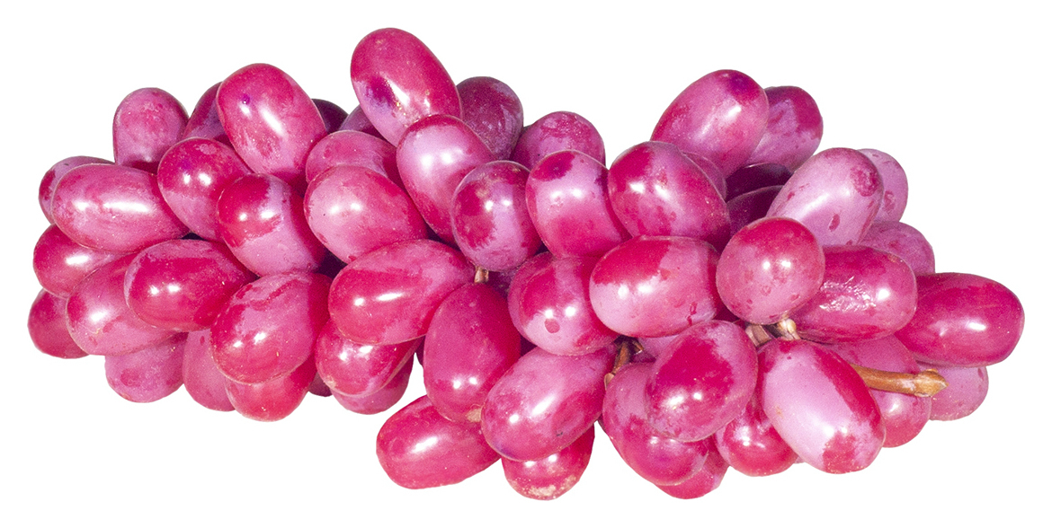 Муляж Винограда 26