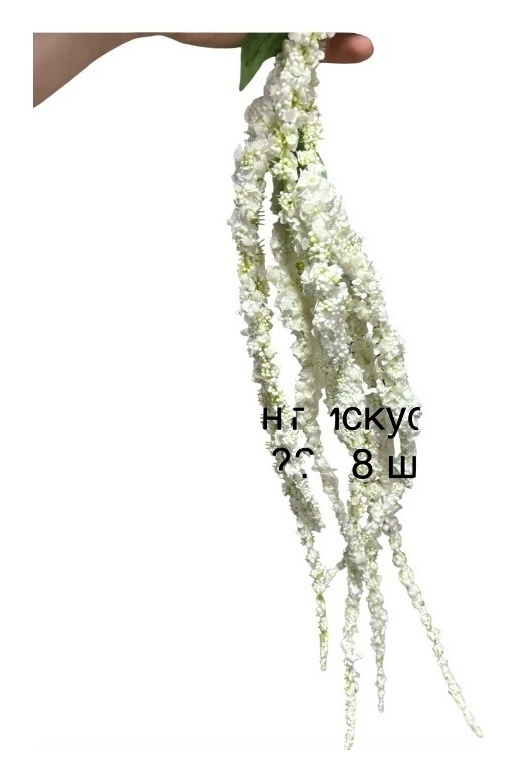 амарант искусственный