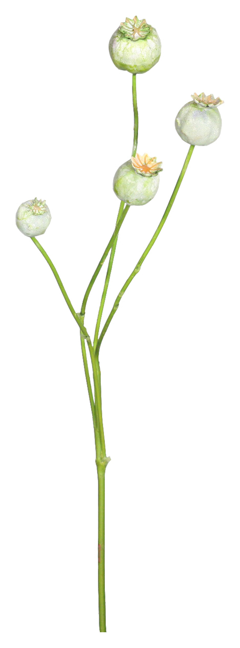 Мак корзинка