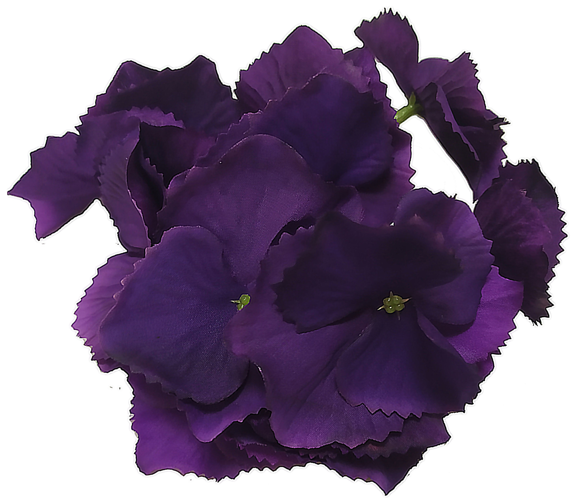 Гортензия фиолетовая, арт. 88