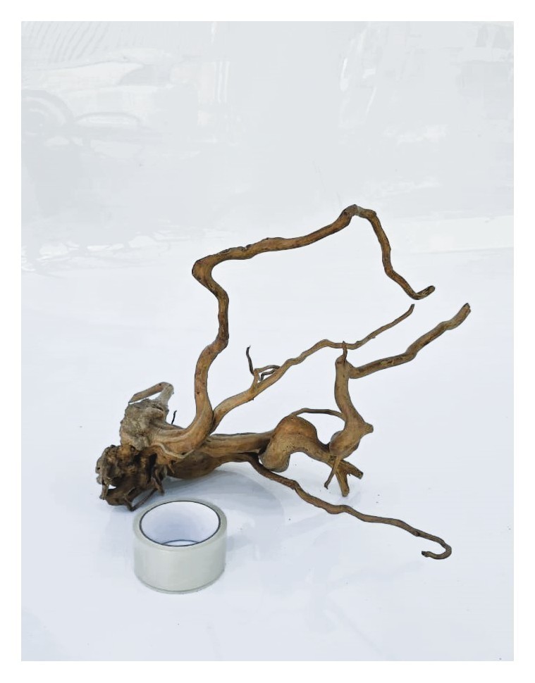 Коряга 6